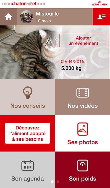mon-chaton mon-chaton